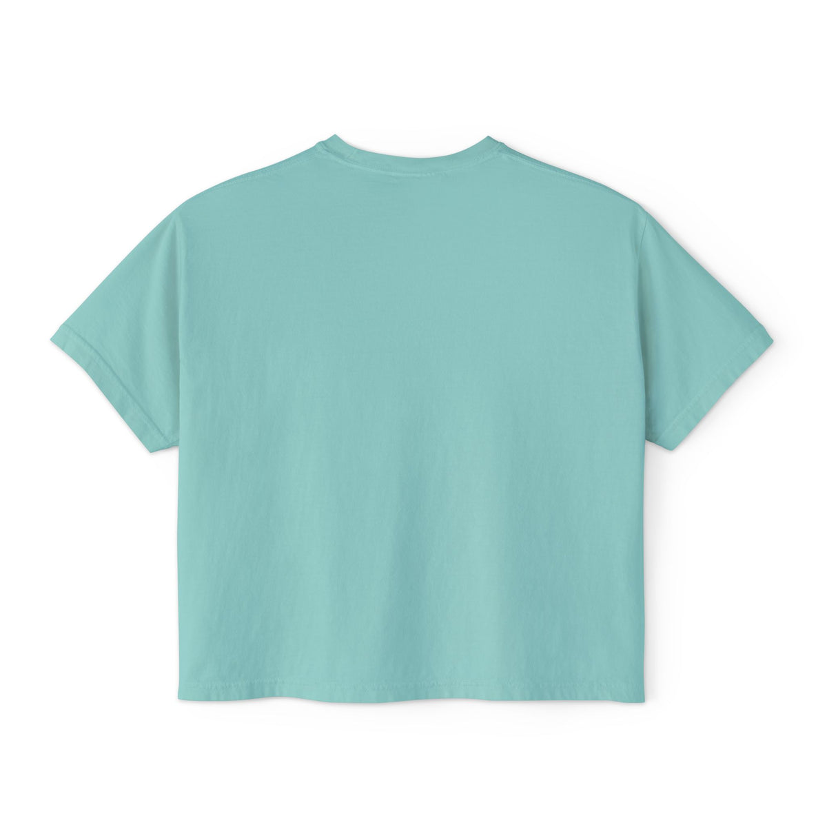 Beauty Is the Expectation Boxy Tee in Mint Color | Pretty & Petty | Pretty and Petty