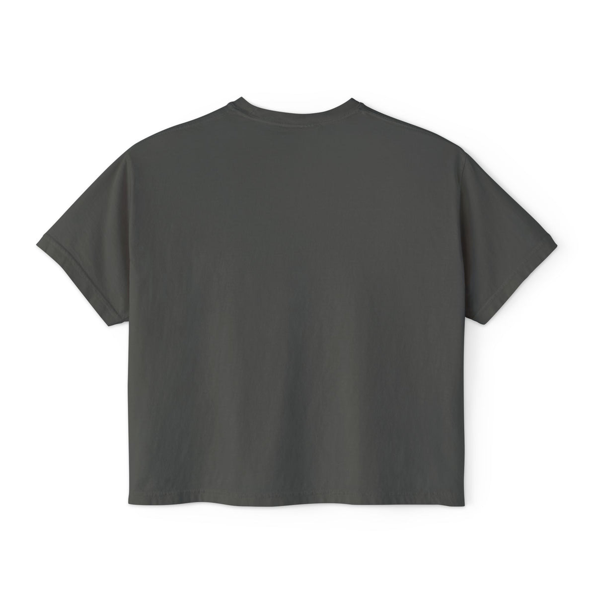 Beauty Is the Expectation Boxy Tee in Grey Color | Pretty & Petty | Pretty and Petty